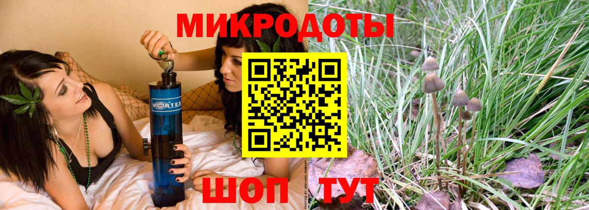 Галлюциногенные грибы Magic Shrooms Тверь