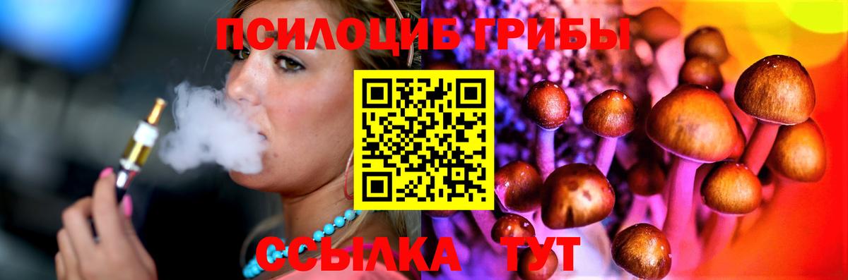 Галлюциногенные грибы мицелий  Галлюциногенные грибы GOLDEN TEACHER  Тверь  Вход с VPN 